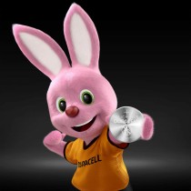Batterien DURACELL 3V (10 Stück)