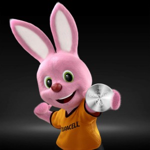 Batterien DURACELL 3V (10 Stück)