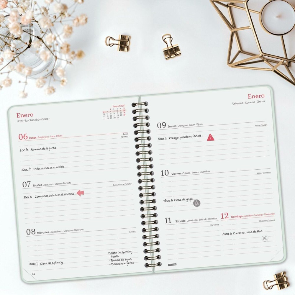 Diary Finocam ALMA Mint A5 15,5 x 21,2 cm 2025