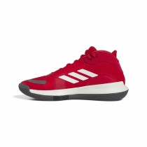 Basketballschuhe für Erwachsene Adidas Bounce Legends Escmej Rot