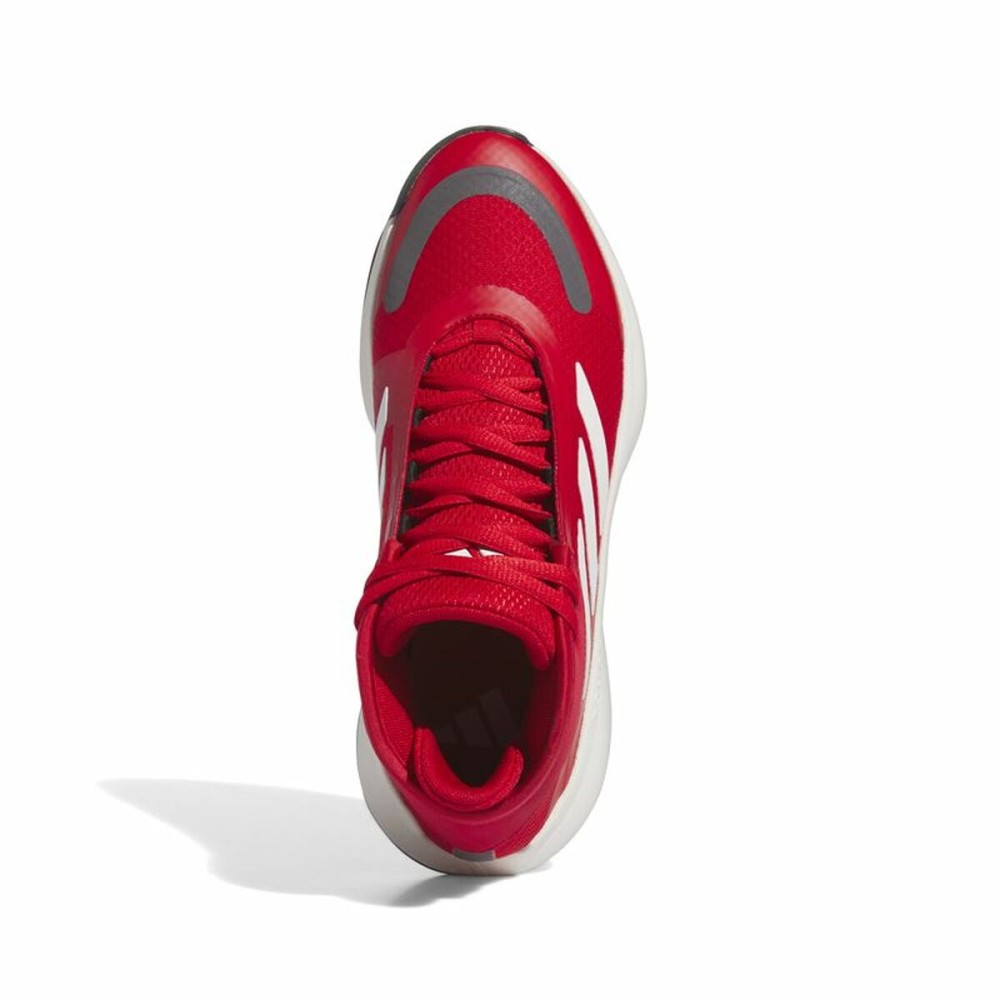 Basketballschuhe für Erwachsene Adidas Bounce Legends Escmej Rot