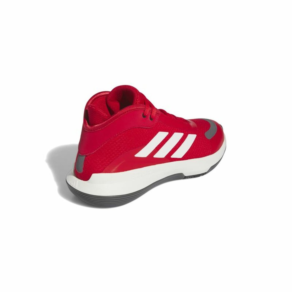 Basketballschuhe für Erwachsene Adidas Bounce Legends Escmej Rot