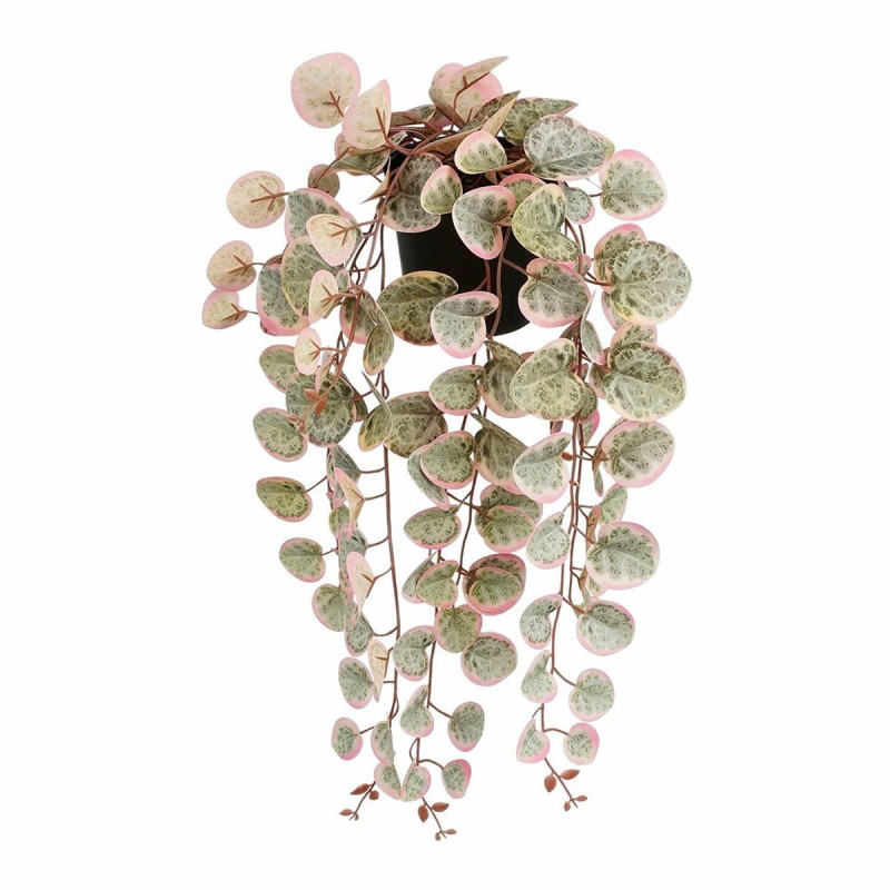 Dekorationspflanze Mica Decorations Ceropegia Woodii 10 x 46 x 12 cm Künstlicher Zum Aufhängen