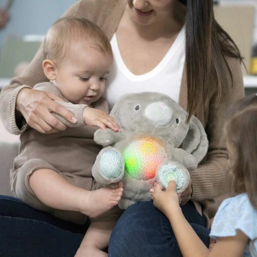 Fluffy toy Ingenuity