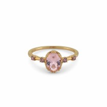 Ladies' Ring 24KAE 12433Y/56 16 Golden