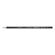 Buntstifte Staedtler Noris Colour WOPEX Grau (12 Stück)