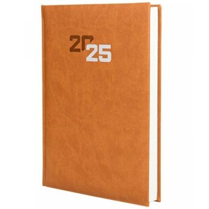 Agenda Finocam DYNAMIC MILANO Y11 Marron 16,5 x 24 cm 2025