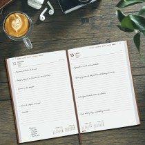 Diary Finocam DYNAMIC MILANO Y11 Brown 16,5 x 24 cm 2025