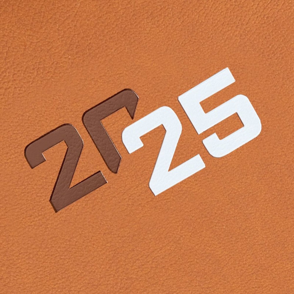Diary Finocam DYNAMIC MILANO Y11 Brown 16,5 x 24 cm 2025