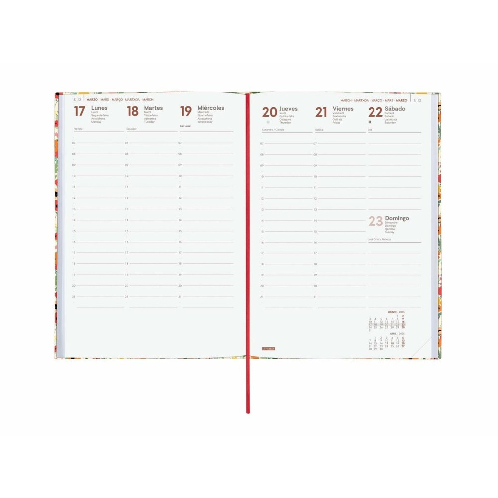 Diary Finocam DYNAMIC BERLIN Y10 A5 14 x 20,4 cm 2025