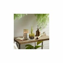 Scented Candle Yankee Candle 1629970E Purple