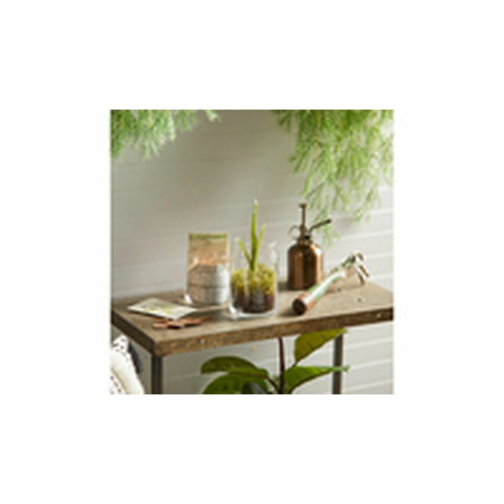 Duftkerze Yankee Candle 1629970E Lila
