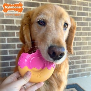 Jouet pour chien Nylabone Rose Bacon L