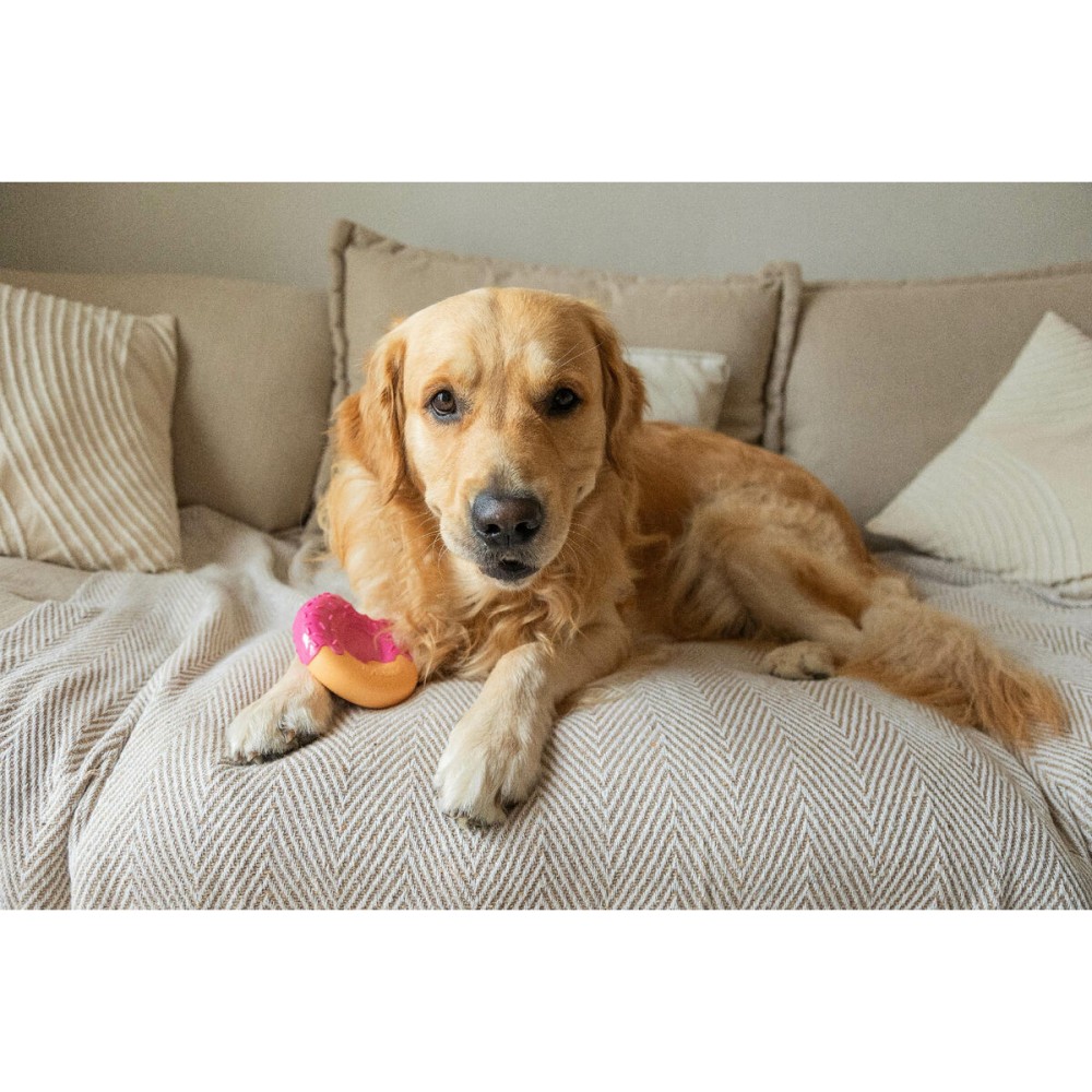 Jouet pour chien Nylabone Rose Bacon L