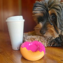 Jouet pour chien Nylabone Rose Bacon M