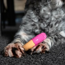 Jouet pour chien Nylabone Rose Bacon M