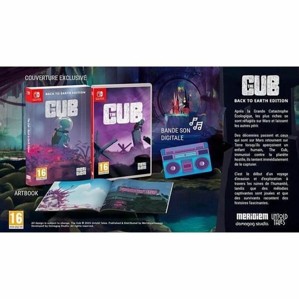 Videospiel für Switch Microids