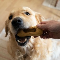 Jouet pour chien Nylabone Marron Beurre de cacahuètes M