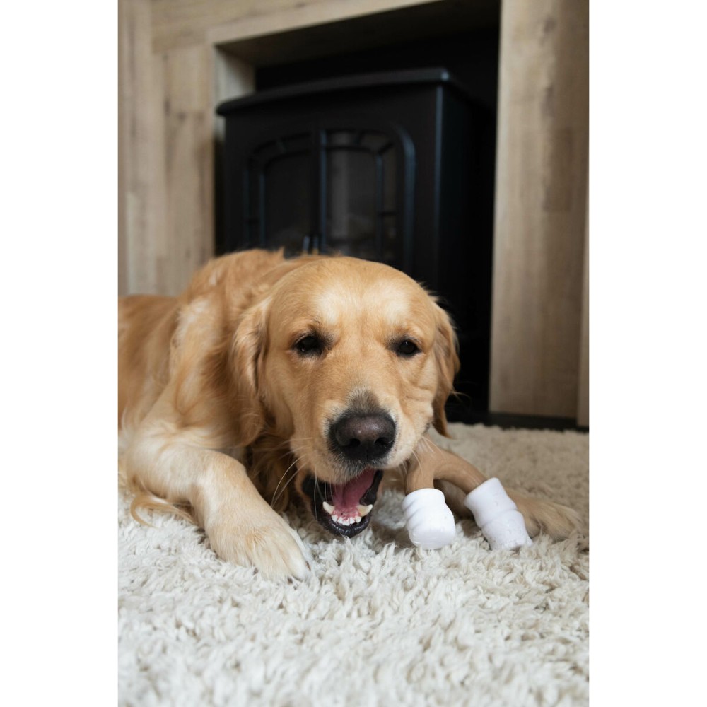 Jouet pour chien Nylabone Marron Beurre de cacahuètes L