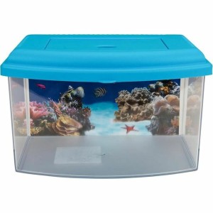 Cat Litter Box Aimé
