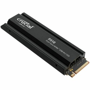 Festplatte Crucial 1 TB SSD