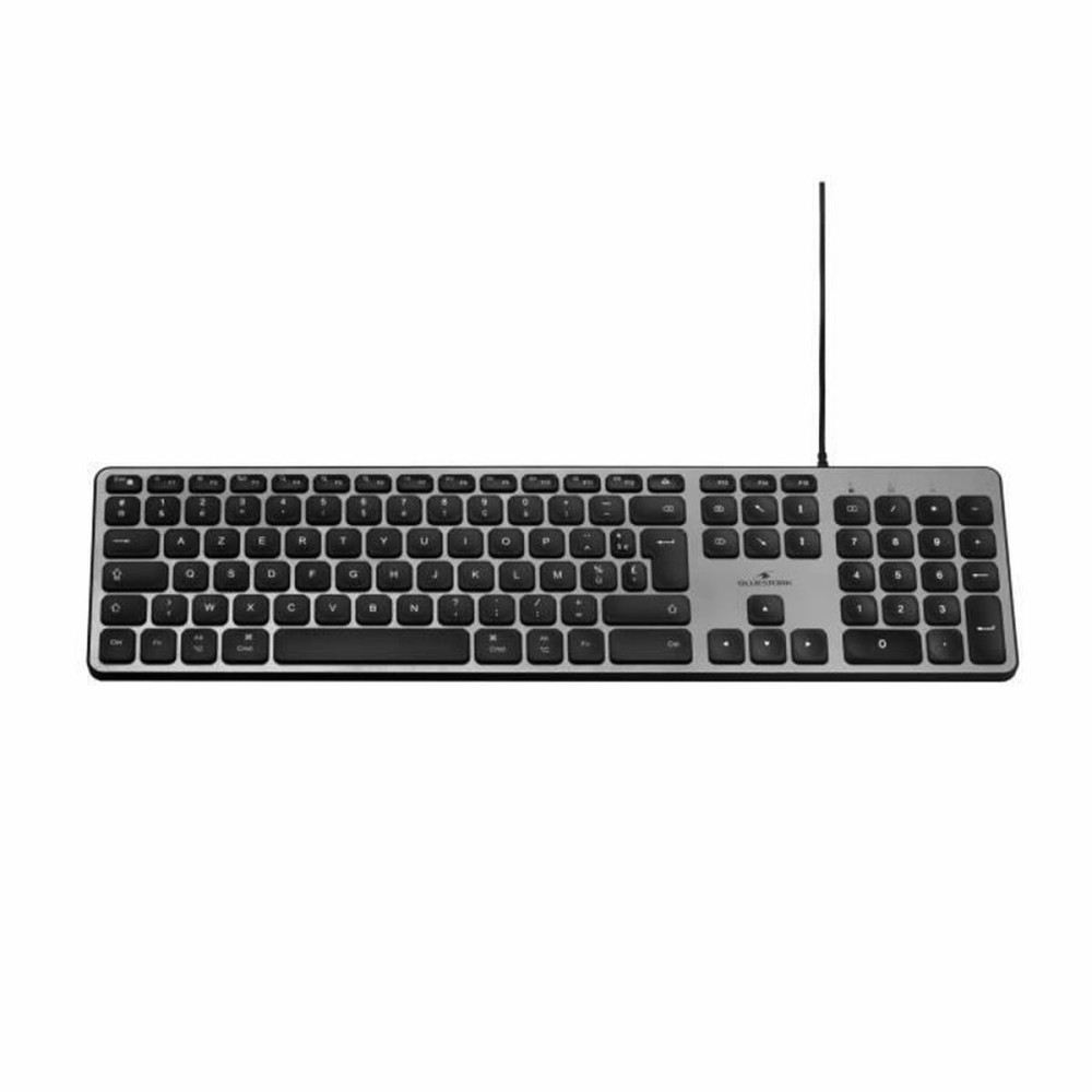 Clavier Bluestork