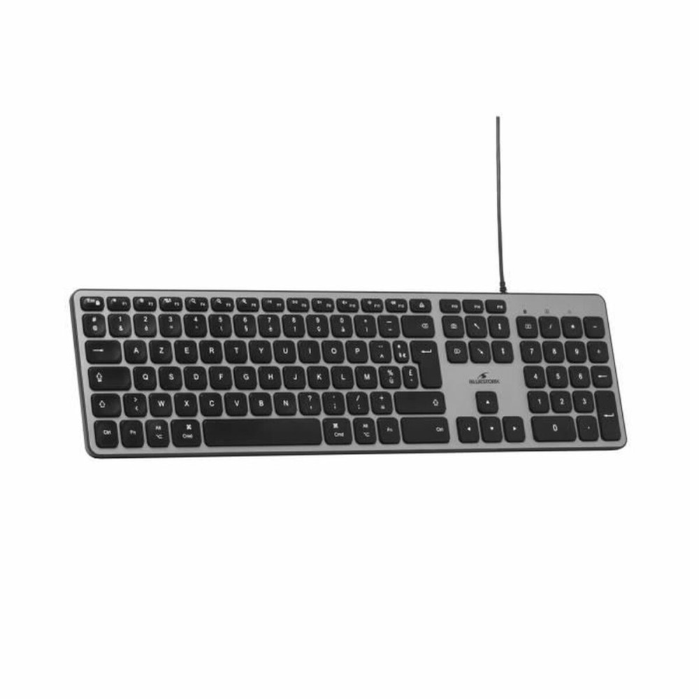 Clavier Bluestork