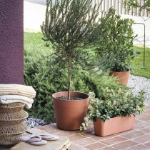 Plant pot Deroma