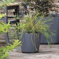 Plant pot Deroma