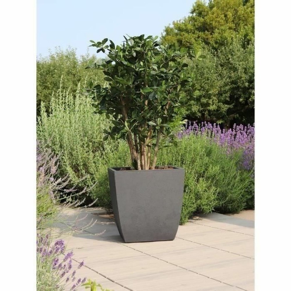 Plant pot EDA