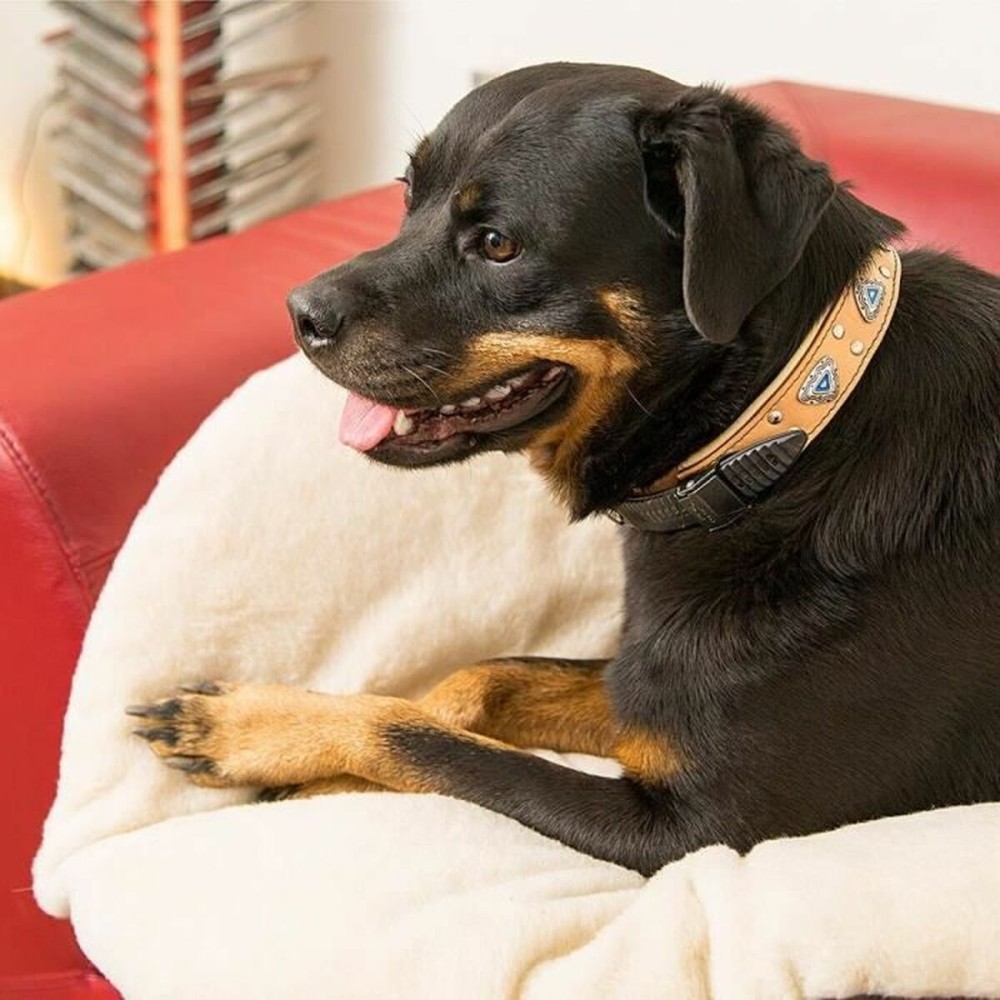 Hundebett Ferplast
