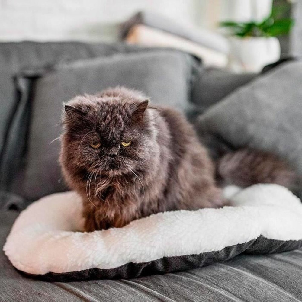 Dog Bed Ferplast