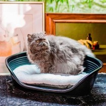 Dog Bed Ferplast
