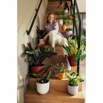 Blumentopf Elho Weiß Kunststoff rund