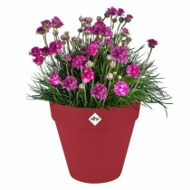 Plant pot Elho