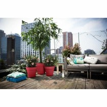 Plant pot Elho