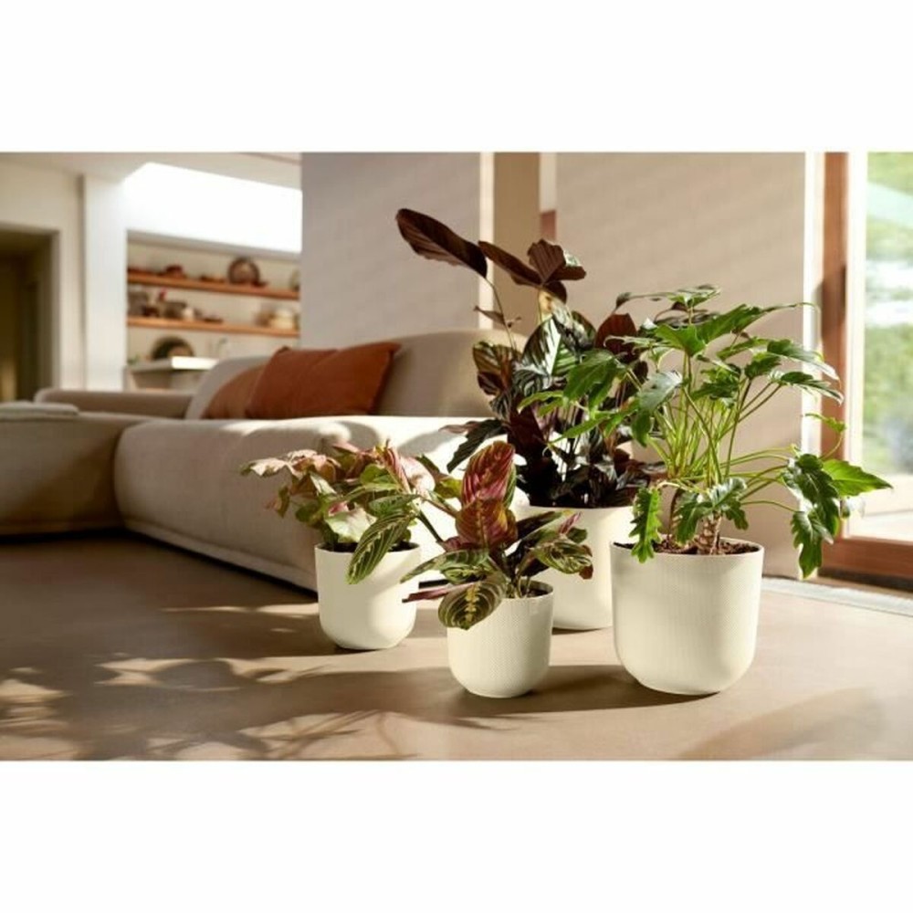 Plant pot Elho