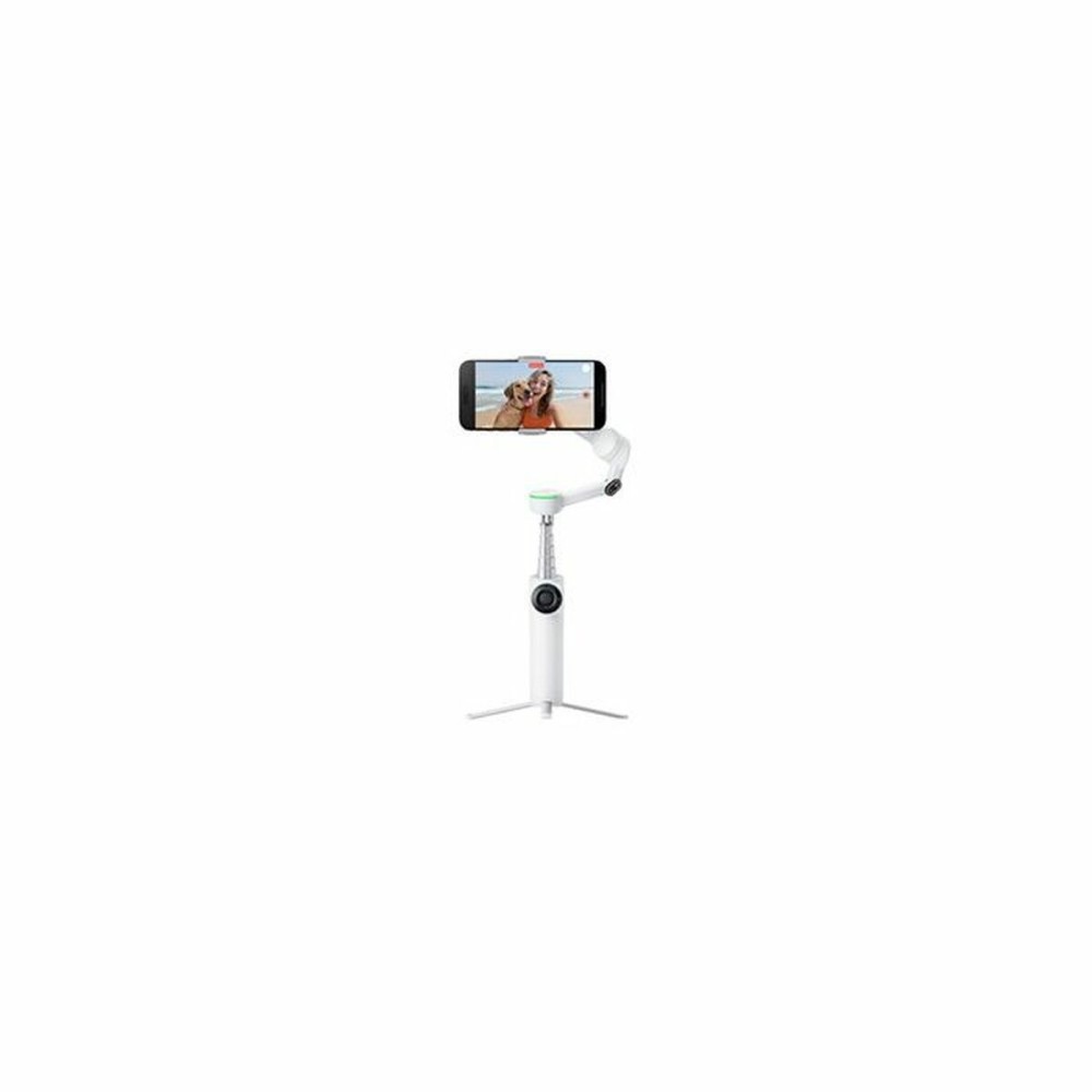 Stabiliser for Support Insta360