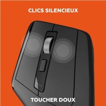 Souris Mobility Lab