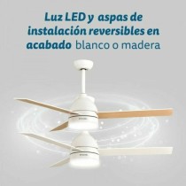 Ventilateur de Plafond Grunkel Blanc