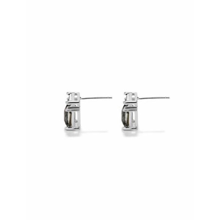 Ladies' Earrings Radiant RY000197