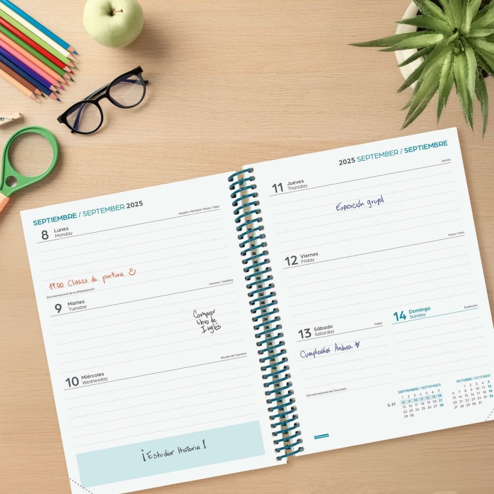 Diary Finocam