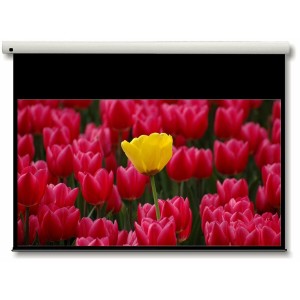 Écran de Projection pour Ordinateur Optoma DE-9092EGA 92"