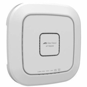 Schnittstelle Allied Telesis AT-TQ5403
