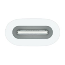 Tablettes graphiques et stylos Apple MWML3ZM/A