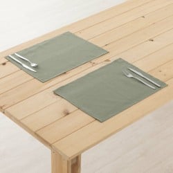 Place mat Belum Green Multicolour 45 x 35 cm 2 Units