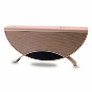 Tragbare Bluetooth-Lautsprecher Conceptronic 120835807