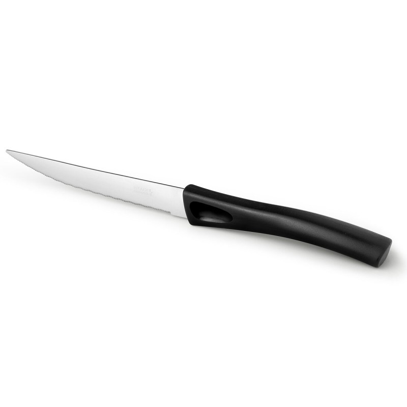 Meat Knife Pradel essentiel Get Up Metal 21 cm (12 Units)