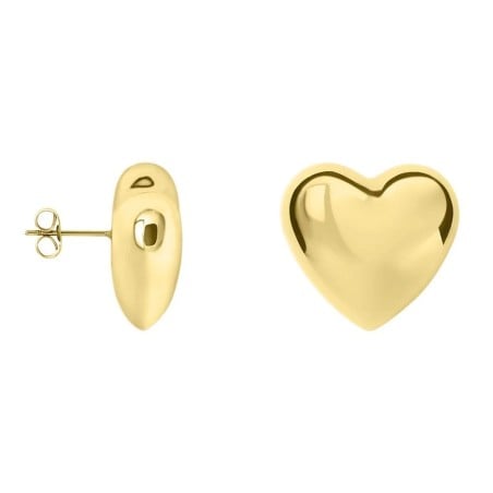 Ladies' Earrings Stroili 1691131