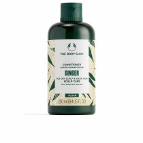 Après-shampooing The Body Shop GINGER 250 ml